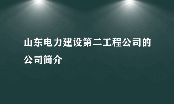 山东电力建设第二工程公司的公司简介
