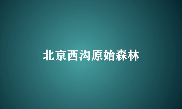 北京西沟原始森林
