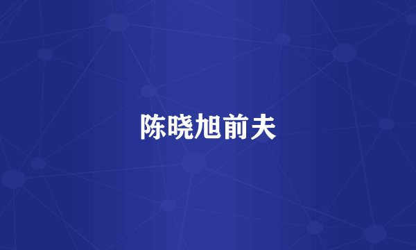 陈晓旭前夫