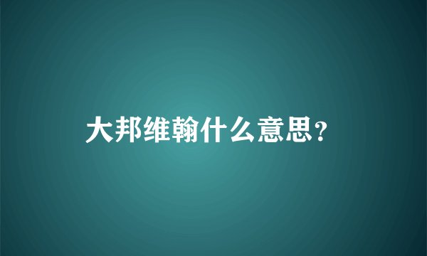 大邦维翰什么意思?