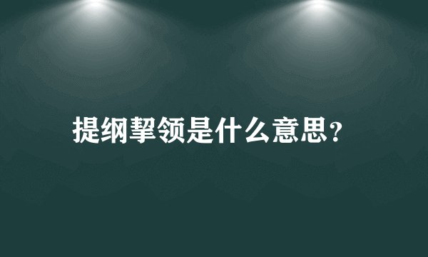提纲挈领是什么意思?