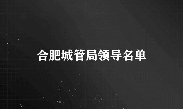合肥城管局领导名单