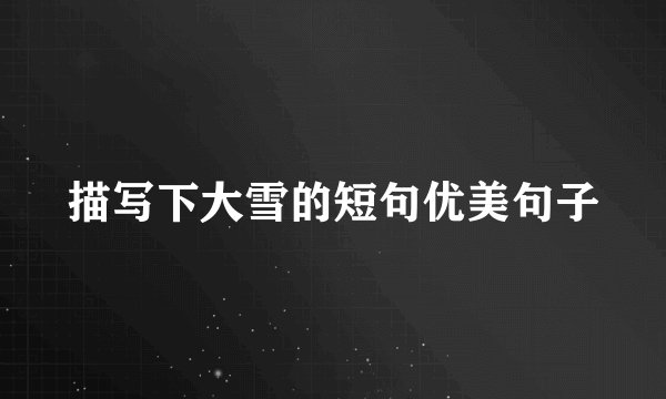 描写下大雪的短句优美句子