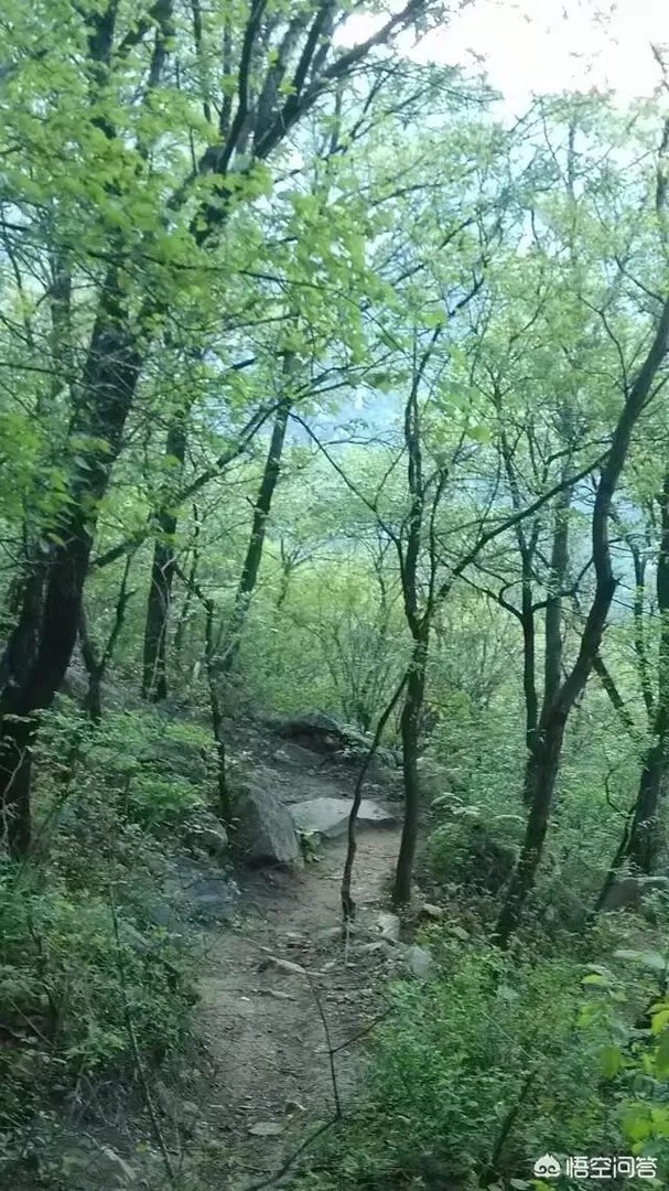 想去河南登封旅游2天,该怎么规划?
