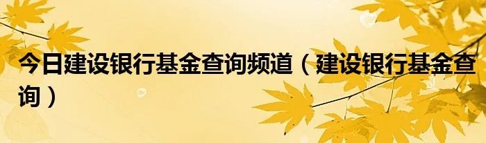 今日建设银行基金查询频道(建设银行基金查询)