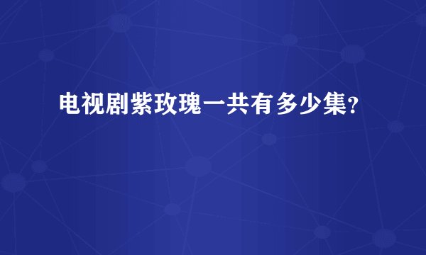 电视剧紫玫瑰一共有多少集？