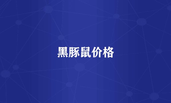 黑豚鼠价格