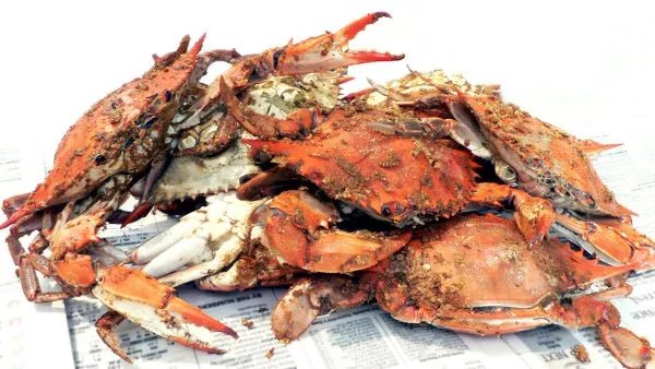 大闸蟹死了多久不能吃?为什么大闸蟹死了不能吃?