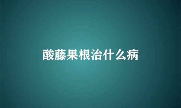 酸藤果根治什么病