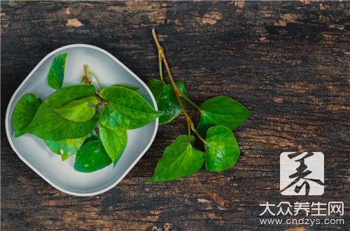 消除甲醛的植物