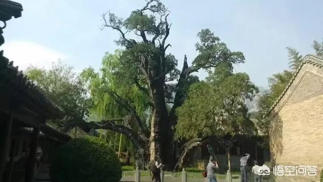 想去河南登封旅游2天,该怎么规划?