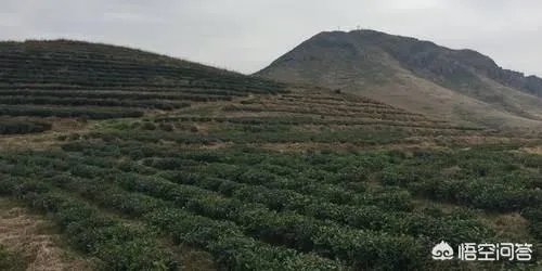 宁德有哪些旅游景点?