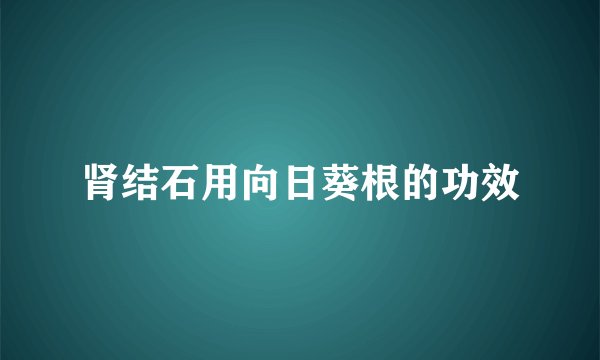 肾结石用向日葵根的功效