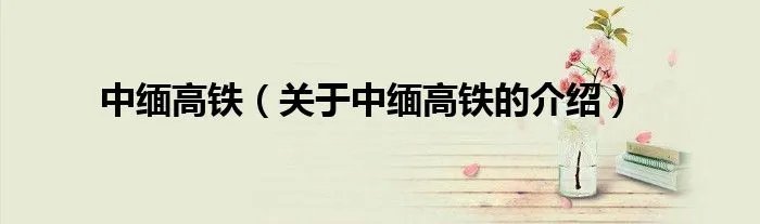 中缅高铁（关于中缅高铁的介绍）