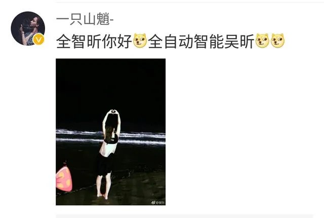 吴昕微博晒自拍并附文“拍出全智贤的感觉了吗”,你怎么看?