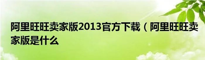 阿里旺旺卖家版2013官方下载(阿里旺旺卖家版是什么