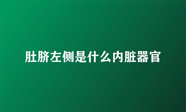 肚脐左侧是什么内脏器官