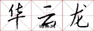 华云龙