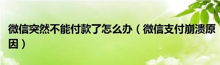 微信突然不能付款了怎么办（微信支付崩溃原因）