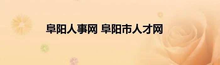 阜阳人事网 阜阳市人才网