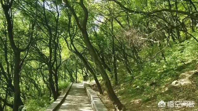 想去河南登封旅游2天,该怎么规划?