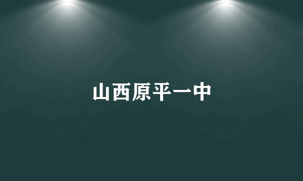 山西原平一中