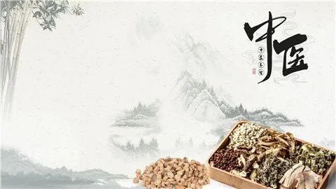 补肾什么药好