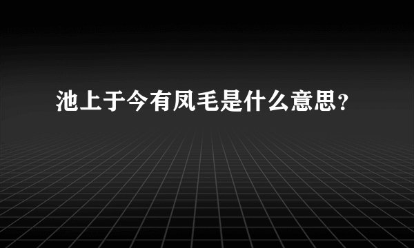 池上于今有凤毛是什么意思？
