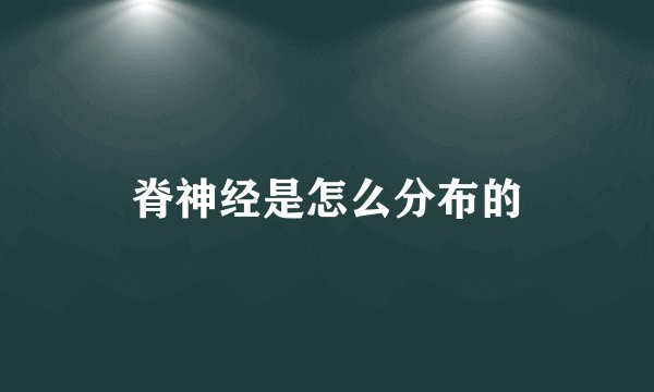 脊神经是怎么分布的