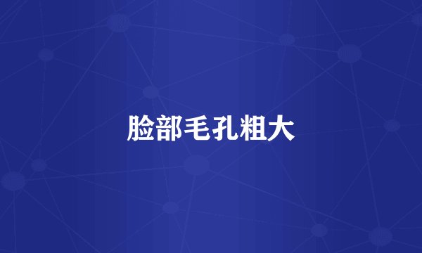 脸部毛孔粗大