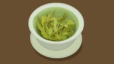 喝什么茶能减肥