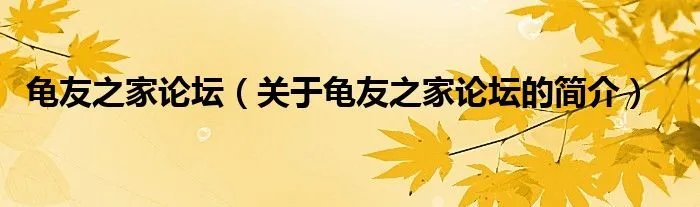 龟友之家论坛（关于龟友之家论坛的简介）