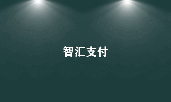 智汇支付