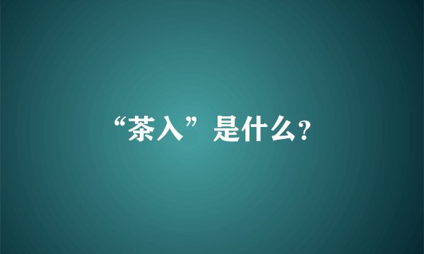 “茶入”是什么？