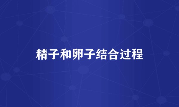 精子和卵子结合过程