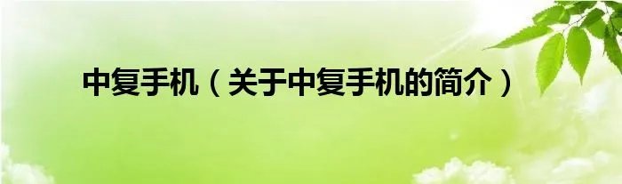 中复手机（关于中复手机的简介）