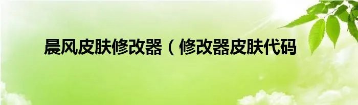 晨风皮肤修改器(修改器皮肤代码