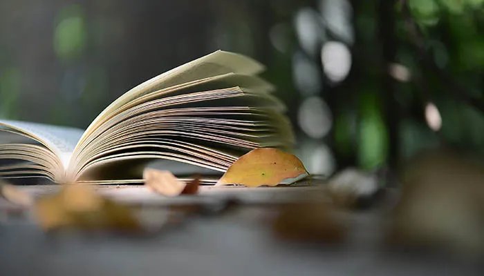 晚春的意思翻译