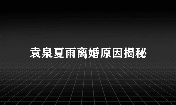 袁泉夏雨离婚原因揭秘