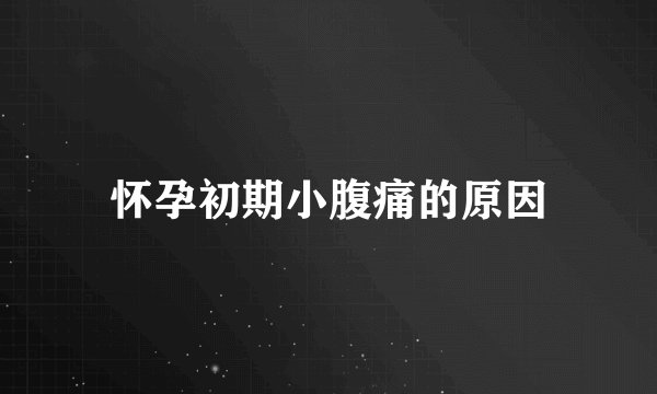 怀孕初期小腹痛的原因