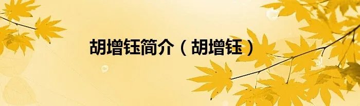 胡增钰简介（胡增钰）