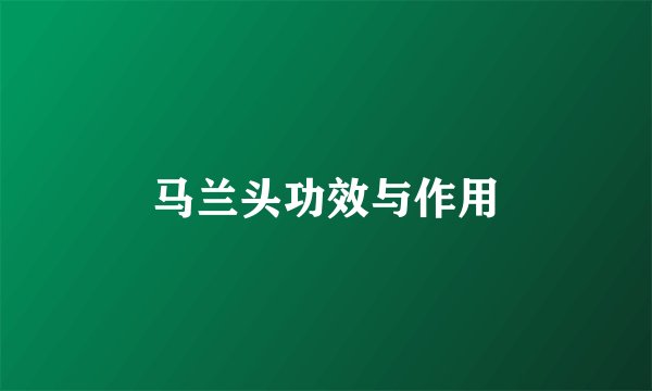 马兰头功效与作用