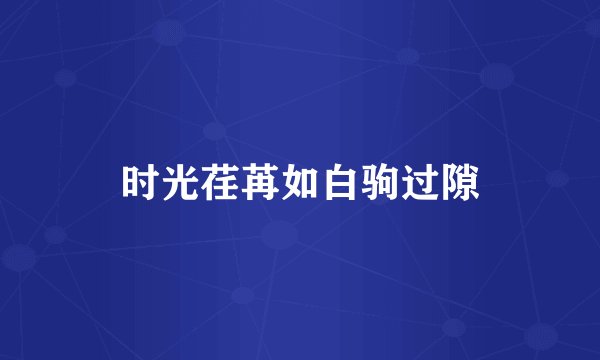 时光荏苒如白驹过隙
