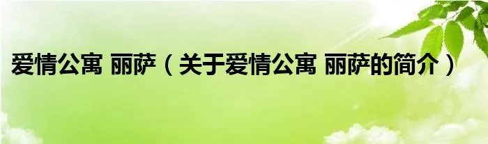 爱情公寓 丽萨（关于爱情公寓 丽萨的简介）