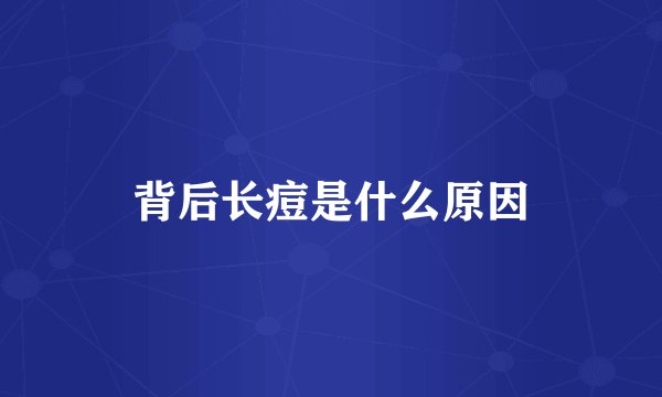 背后长痘是什么原因