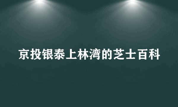京投银泰上林湾的芝士百科