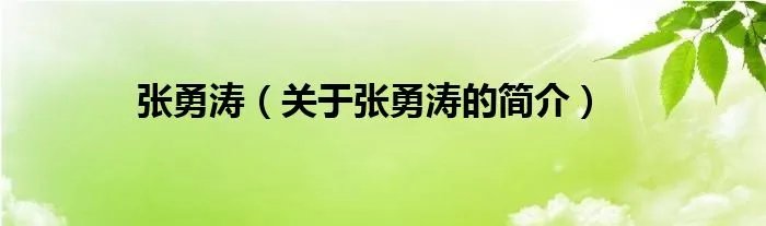 张勇涛（关于张勇涛的简介）