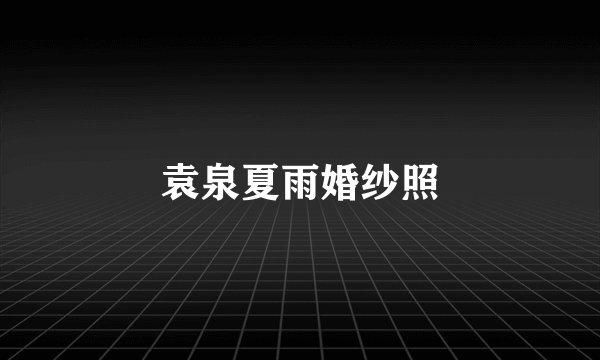 袁泉夏雨婚纱照