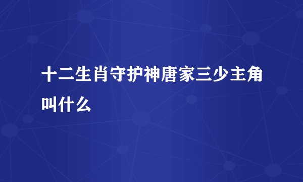 十二生肖守护神唐家三少主角叫什么