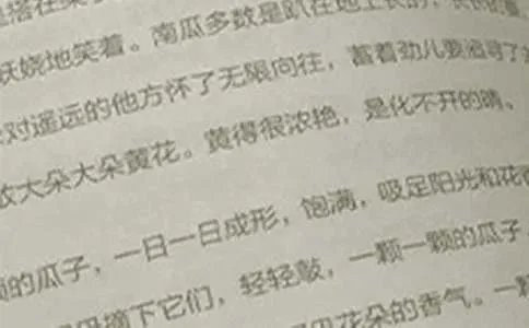 初三语文作文